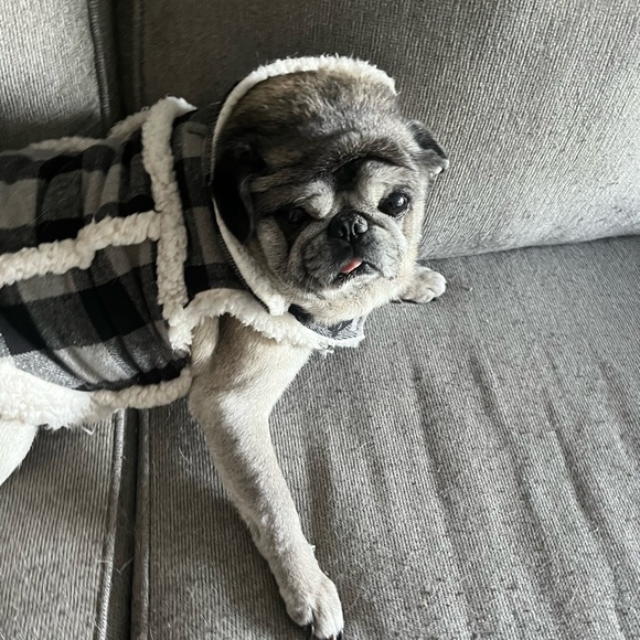 Meet your Posher, Joshua - Picture 1 of 1